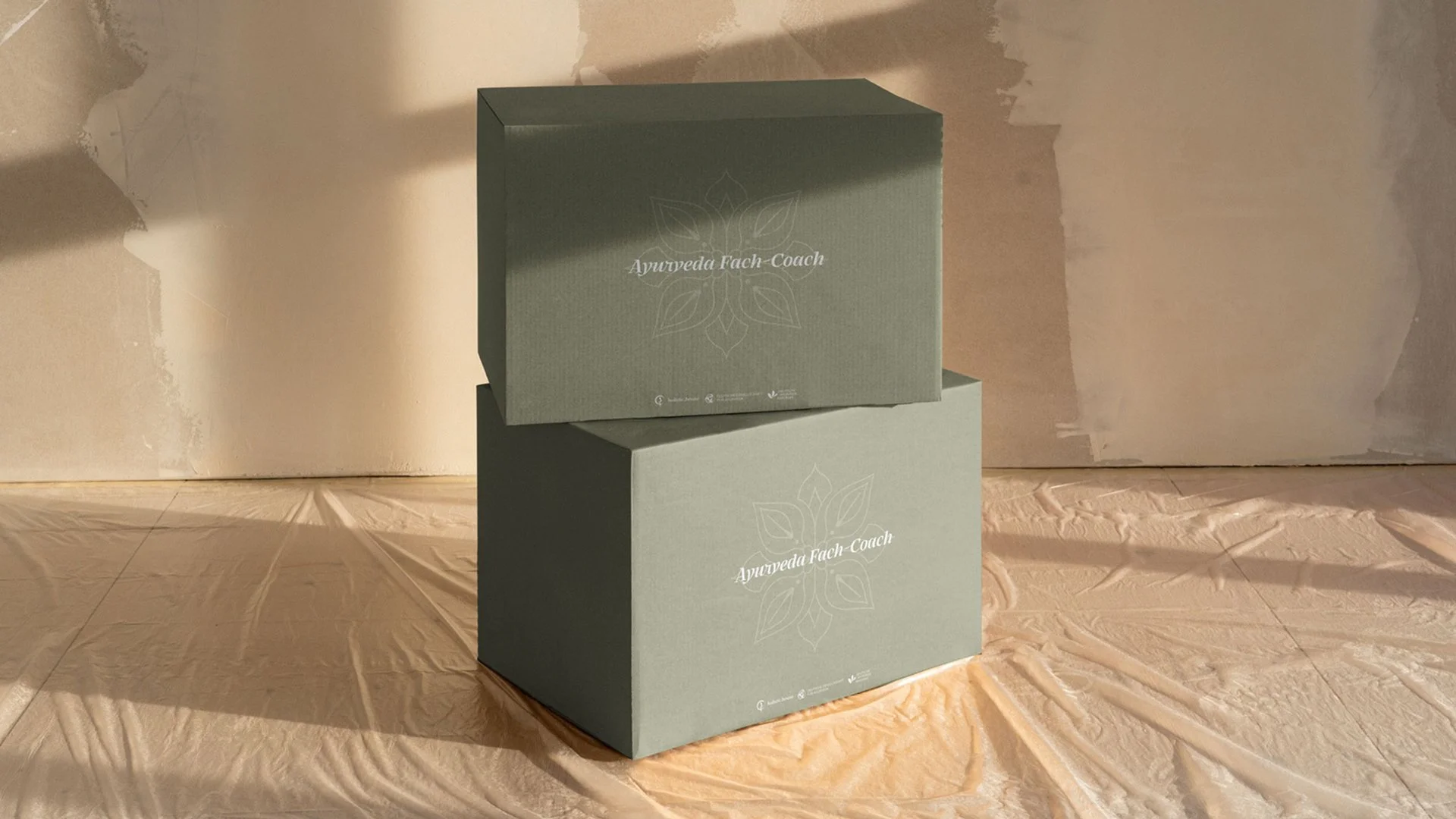 Branded Ayurveda Fach Coach education kit in a kraft box